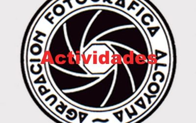 Programación actividades – Abril 2025