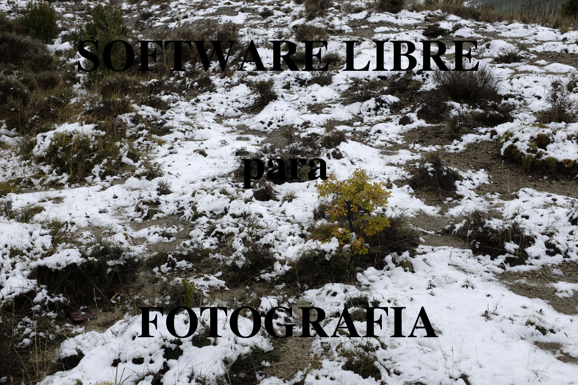 Software libre dirigido a la fotografía
